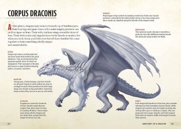 Dragons & Treasures (Dungeons & Dragons): A Young Adventurer's Guide