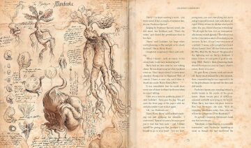 Harry Potter and the Chamber of Secrets: Illustrated Edition