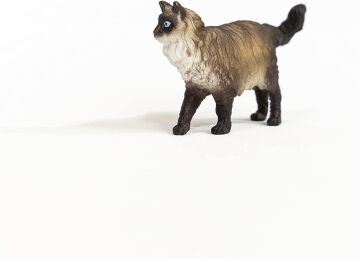 Schleich Ragdoll Kedi