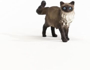 Schleich Ragdoll Kedi