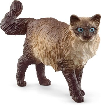 Schleich Ragdoll Kedi