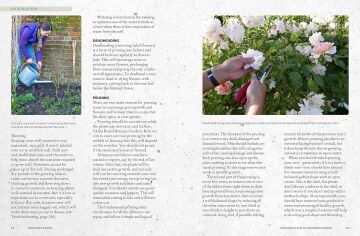 The Kew Gardener's Guide to Growing Roses: The Art and Science to Grow with Confidence: Volume 8