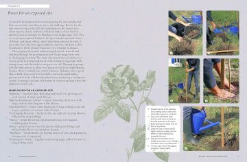 The Kew Gardener's Guide to Growing Roses: The Art and Science to Grow with Confidence: Volume 8