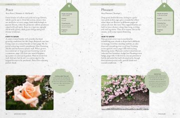 The Kew Gardener's Guide to Growing Roses: The Art and Science to Grow with Confidence: Volume 8