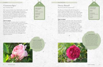 The Kew Gardener's Guide to Growing Roses: The Art and Science to Grow with Confidence: Volume 8