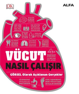 Vücut Nasıl Çalışır - Ciltli