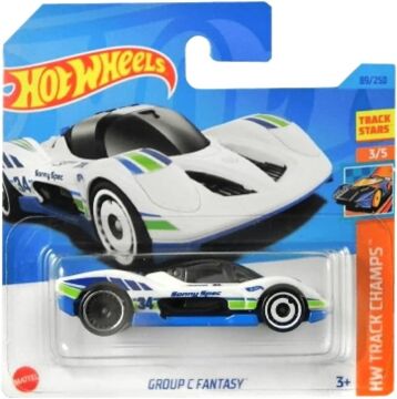 Hot Wheels 1:64 Tekli Arabalar 2023 089/250 Hw Track Champs Group C Fantasy