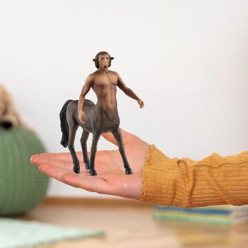 Schleich Harry Potter Büyücülük Dünyası Koleksiyon Figürü Firenze 6 Yaş ve Üzeri Çocuklar için