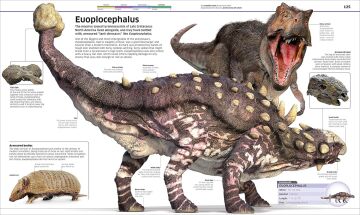 DK - Knowledge Encyclopedia Dinosaur!: Over 60 Prehistoric Creatures as You've Never Seen Them Before