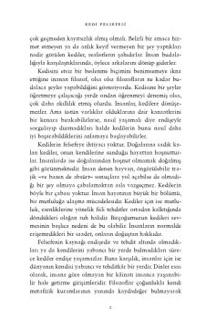 Kedi Felsefesi: Kediler ve Hayatın Anlamı