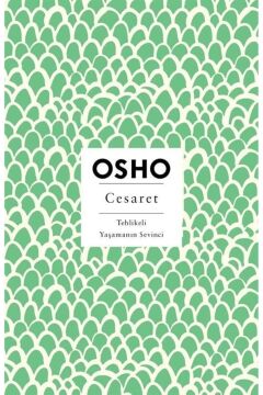 Cesaret: Tehlikeli Yaşamanın Sevinci
