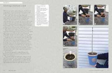 The Kew Gardener's Guide to Growing Trees: The Art and Science to grow with confidence: Volume 9