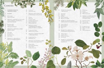 The Kew Gardener's Guide to Growing Trees: The Art and Science to grow with confidence: Volume 9