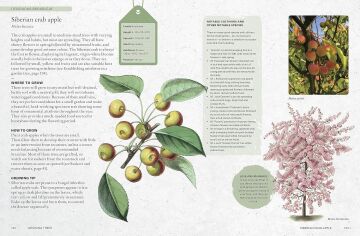 The Kew Gardener's Guide to Growing Trees: The Art and Science to grow with confidence: Volume 9