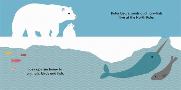 Eco Baby: Ice Caps